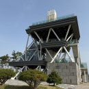 생성-꽃이피다 이미지