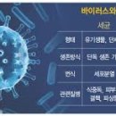 만영개발