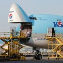 성실화물 이미지