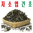 엄지농장 쇼핑하우