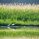 대덕산업단지 BRT정류장 이미지