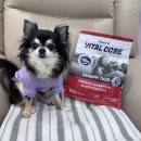 이강메디칼 이미지