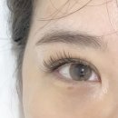 다다래쉬 - 고양시 덕양구 | 청라 속눈썹 다다래쉬 연장 후기 c컬 다크브라운으로 받았었어요
