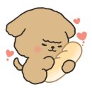 다사랑 애견 이미지