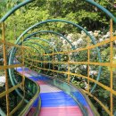 고운정식당 이미지