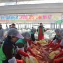 성산일출봉농업협동조합 영농자재지원센터 | 성산일출봉농협, 2024년 사랑의 김장김치 나눔행사 [2024.12.12 목]