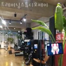 제이 재활 트레이닝 이미지