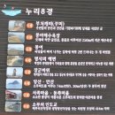 2015년 5월 2~3일(토 일요일 1박2일) 무의도 산행 및 소무의도 트래킹 이미지