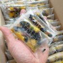 사림동209 이미지