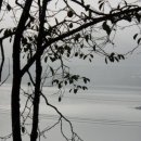 칠보농협산내지소 이미지