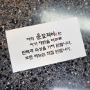 윤칼제비