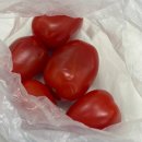 엠앤비여성병원 | 행복했던 3월 일상 (25w-29w)