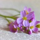 우리들이 보는 세상 이미지