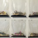 한국이불 이미지