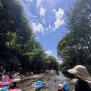 쉴만한 물가 | 🏞 유가읍 ‘쉴만한물가’ 계곡 평상 대여 후기 💦 대구근교계곡 대구계곡추천 경북