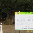 비래골경로당 Daum카페