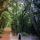 딸기부동산공인중개사사무소 이미지