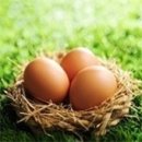 심다누팜 이미지