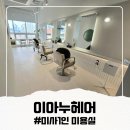 감탄 미사스마트밸리점 | 미사역 미용실 "이아누헤어" 호수공원 뷰 보며 즐기는 퍼스널 컬러 염색 후기