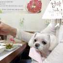 하세동길 네이버블로그