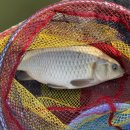 송라손맛터 이미지