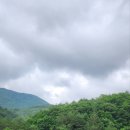 봉평 물소리펜션 | [평창/봉평]강원도여름휴가/힐링우드펜션/흥정계곡