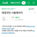 비행기 참사 중에 지역 공항 이름으로 부린 참사가 있나요? 이미지