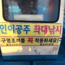 인어좌대 이미지