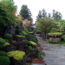 석부작박물관 이미지