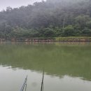 어의곡낚시터 이미지