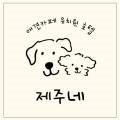 제주네 애견유치원 이미지