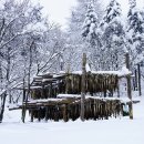 황태덕장 이미지