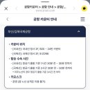 티머니_공항버스 | 해운대 장산역에서 김해공항 국제선, 리무진 버스 이용 솔직 후기 (최신 시간표 및 주의사항)