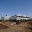 신효동-19 이미지