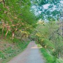 감천1동-12 이미지