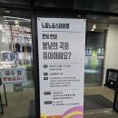 노들섬 | 노들섬 2026 노들노을스테이지 후기 <토카이, 주혜린, 프랭클리, 페퍼톤스> 260509