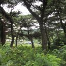 청천목장 이미지