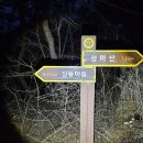 #[영산]성미단맥제2구간종주(완)-성미산 구봉산(장성)-산이름만큼 아름다운 장성호 동쪽 산줄기를 이루며 남진하는 산줄기로 남도산줄기로서 이미지