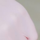 길동한의원 | 길동 한의원 가격 비용 후기 확인사항(서이추환영)