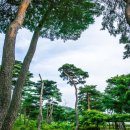 화진포역사안보전시관 이미지