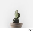 현대축산정육점