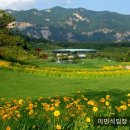 아주회원권거래소 이미지