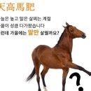 만성점핑다이어트