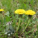 구덕초등학교 이미지