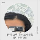 로자벨고덕2차103호 | 평택두피관리 라니두피관리 l 고덕두피관리 프라이빗 헤드스파 두피 진정 케어 후기