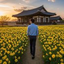 디에이치렌트카(주) | 서산 유기방가옥 완벽 가이드: 놓치면 후회할 꿀팁 공개