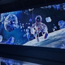 인스파이어 리조트 르스페이스 전시 '아이스플래닛 THE ICE PLANET' 관람 후기