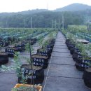 샘골농장 이미지