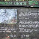 천광 태양광발전소 이미지