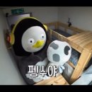 위너스고시텔